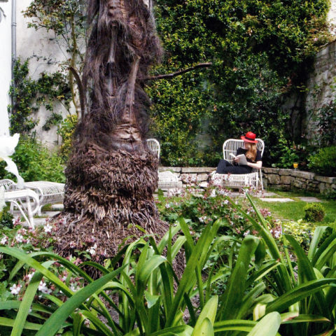 Extérieur Couleurs Jardin Maison d'Hôtes La Rochelle