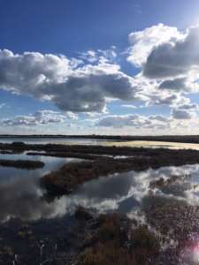 marais salants visiter île de ré chambres d'hôtes Eden Ouest La Rochelle